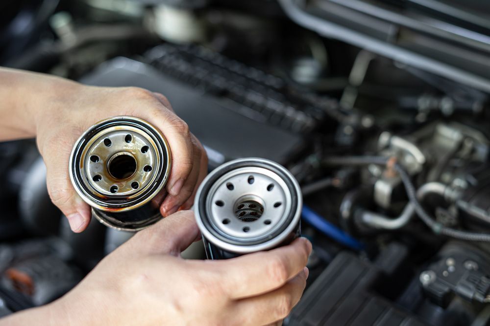 A Person is Holding Two Oil Filters — ANI Automotive in Long Jetty, NSW