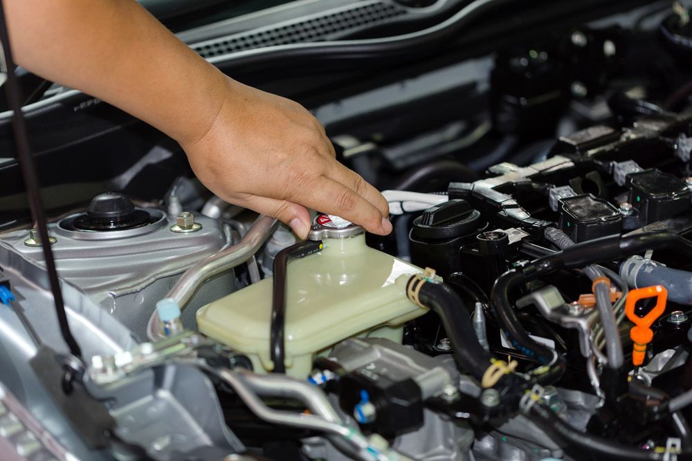 A Person is Working on the Engine of a Car — ANI Automotive in Long Jetty, NSW