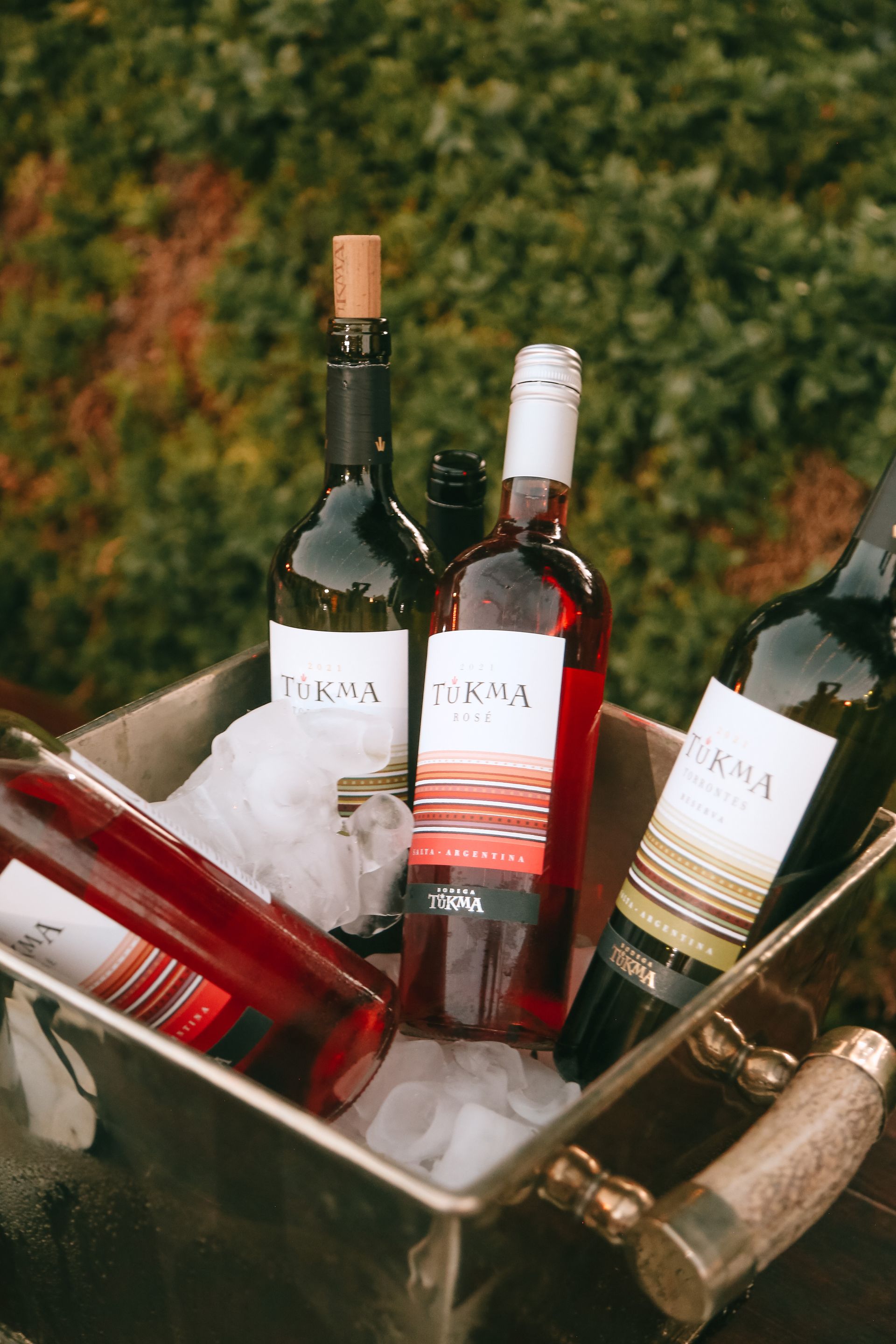 Hay tres botellas de vino en un cubo de hielo.