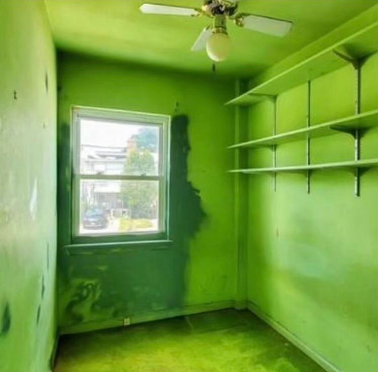 A room with green walls and shelves and a ceiling fan.