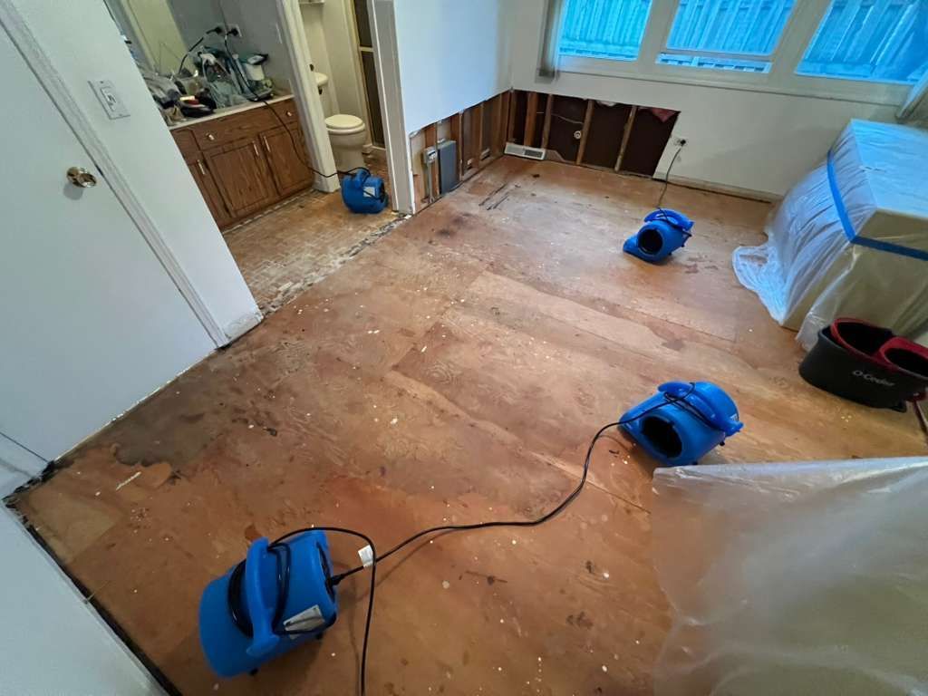 Room stripped for renovation, with bare floor, exposed walls, and blue tools scattered around.