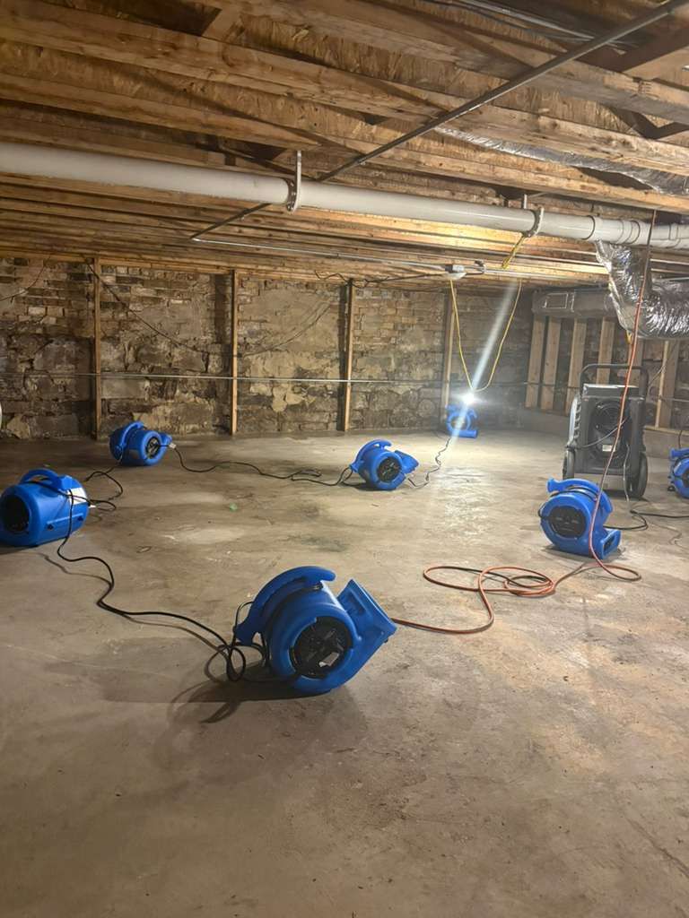 Dim basement with five blue fans/blowers on the concrete floor and a bright work light in the background.
