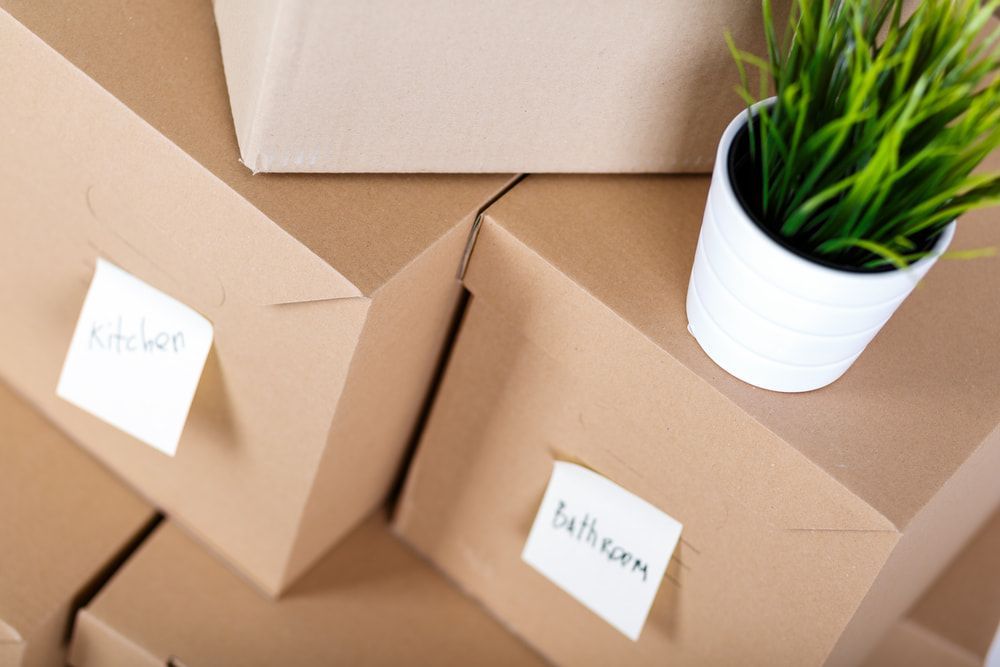 A Potted Plant Is Sitting On Top Of A Pile Of Cardboard Boxes — Removalists In Lismore