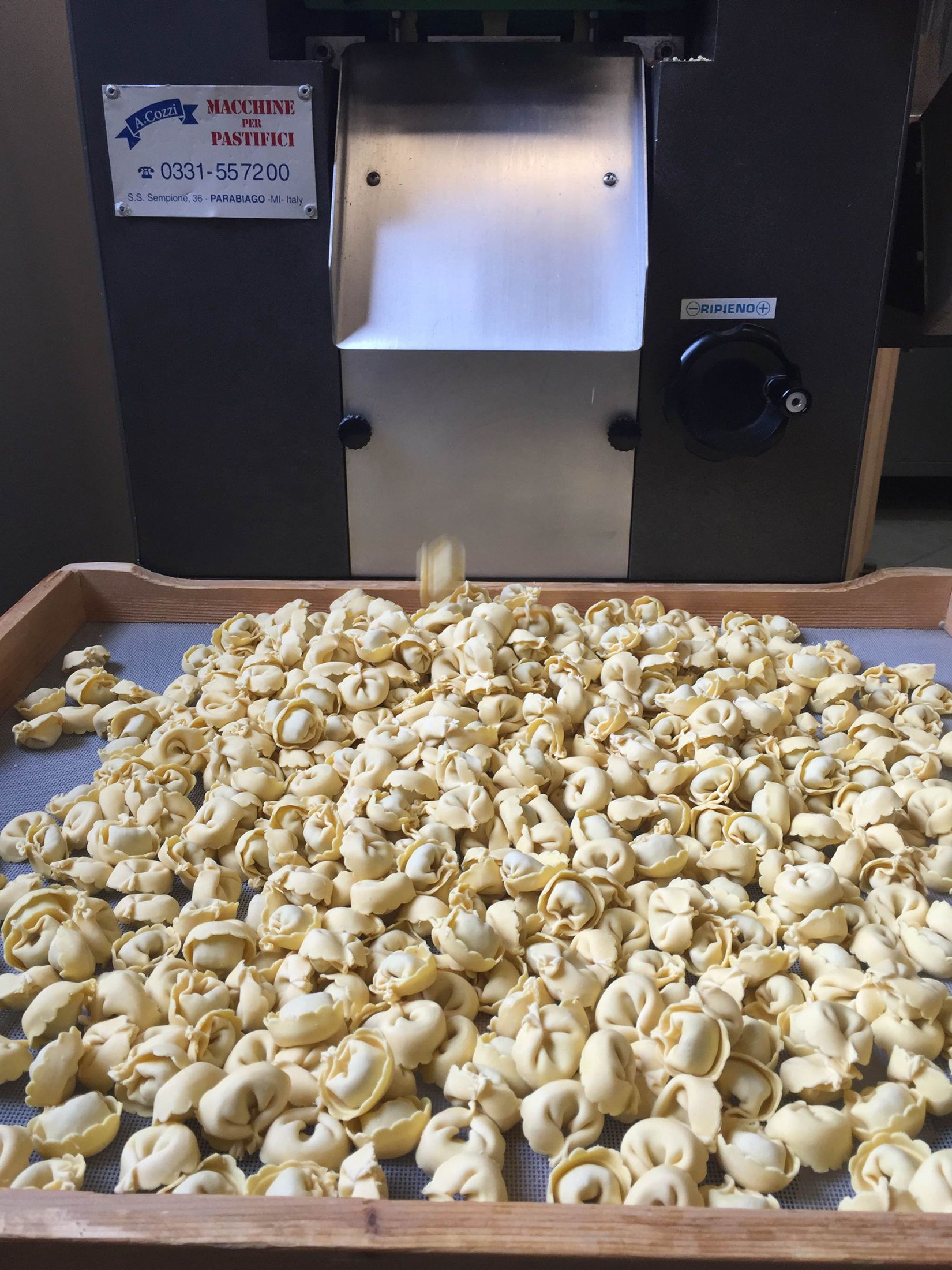 Pasta fresca all'uovo