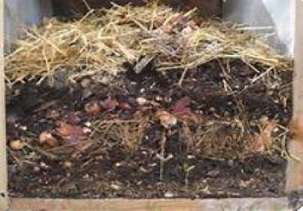cross section of compost