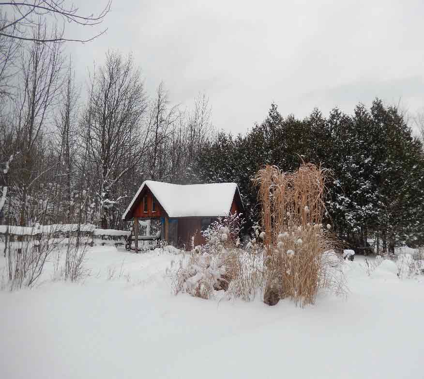 Snow covering ground, fence, shed, tall grasses