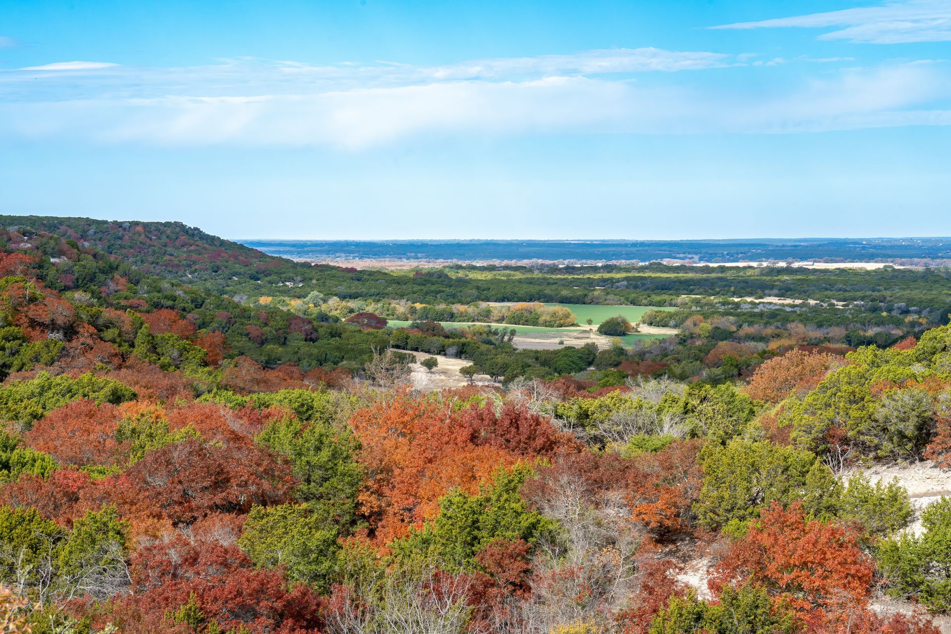 A view of a valley from a hill with trees in the foreground and a blue sky in the background.