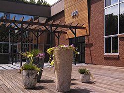 a group of potted plants are sitting on a wooden deck in front of a building .
