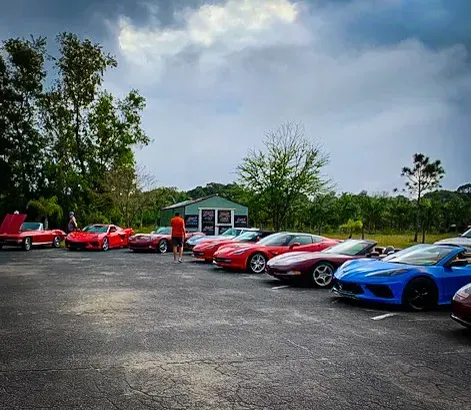 A row of red and blue sports cars are parked in a parking lot.