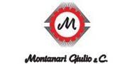 montanari giulio