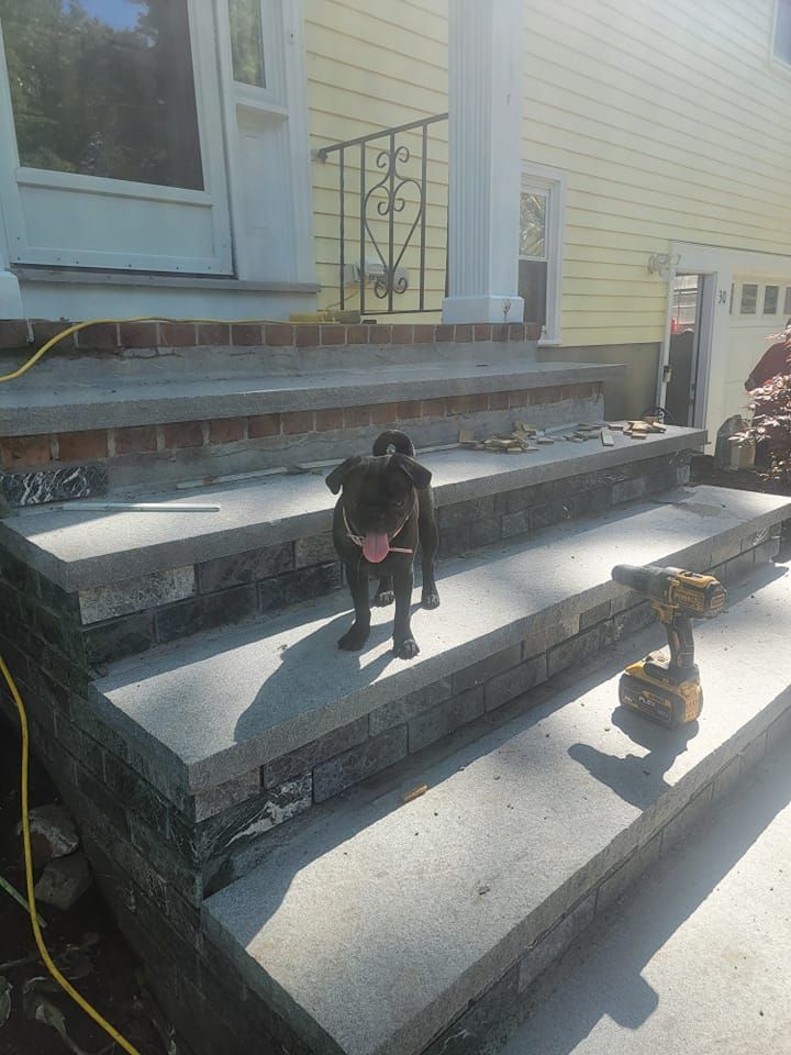 Black dog stands on new concrete steps in front of a yellow house with its tongue out.