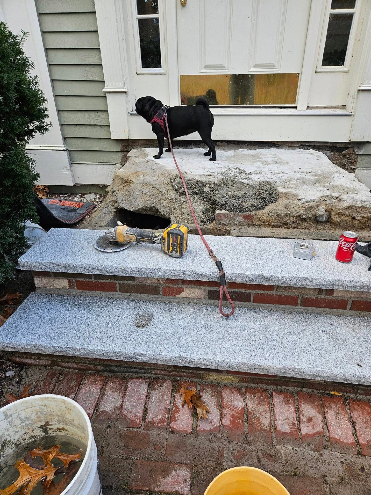 Black pug on a step of a porch being renovated, with tools and materials visible.