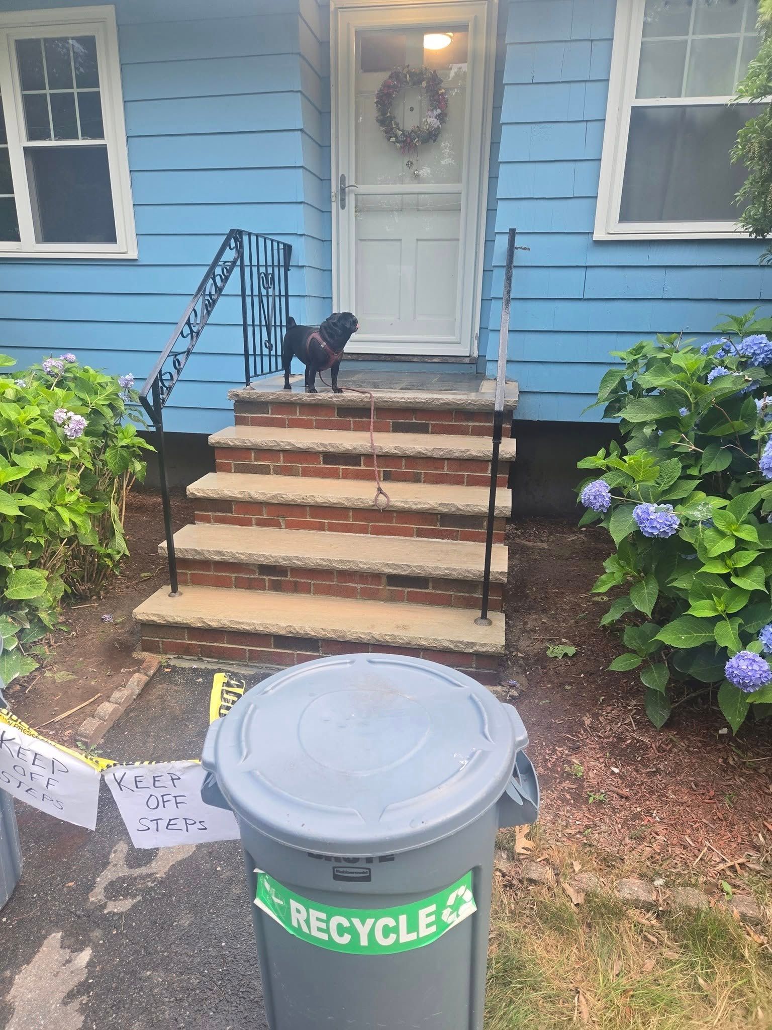Black dog on steps of blue house. Recycle bin in foreground, caution tape on left.