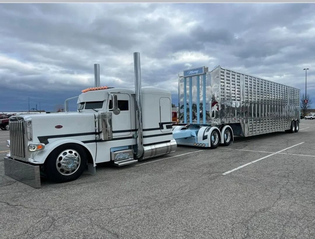 White semi-truck with chrome accents, pulling a livestock trailer, parked in a gray paved lot under a cloudy sky.