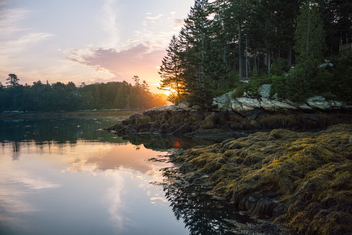 Sunset over calm water, rocky shore, trees, and golden sky reflection.