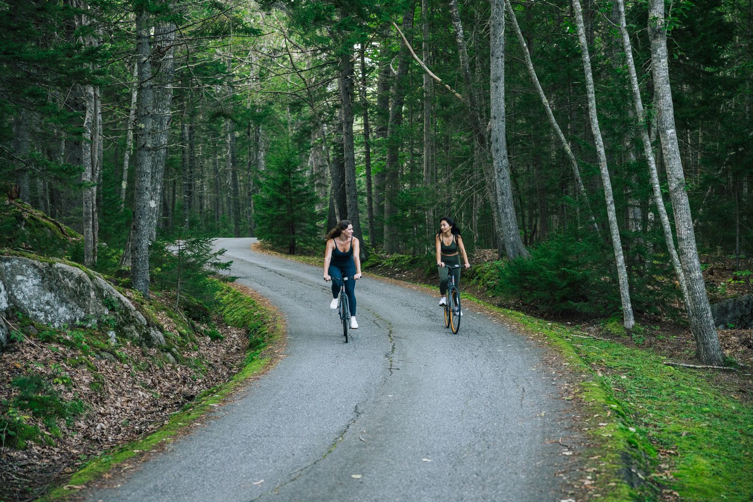 Two people ride bikes on a winding road through a forest.