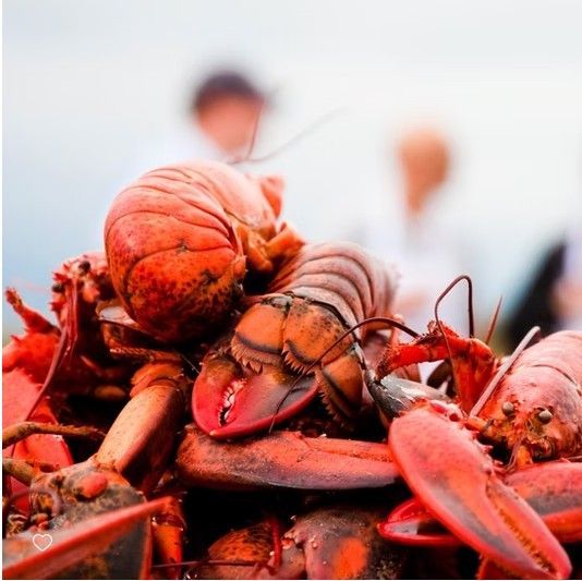 Close-up of a pile of red cooked lobsters with people blurred in the background