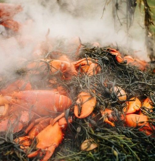 Orange fish smoking in a smoky pile of green vegetation
