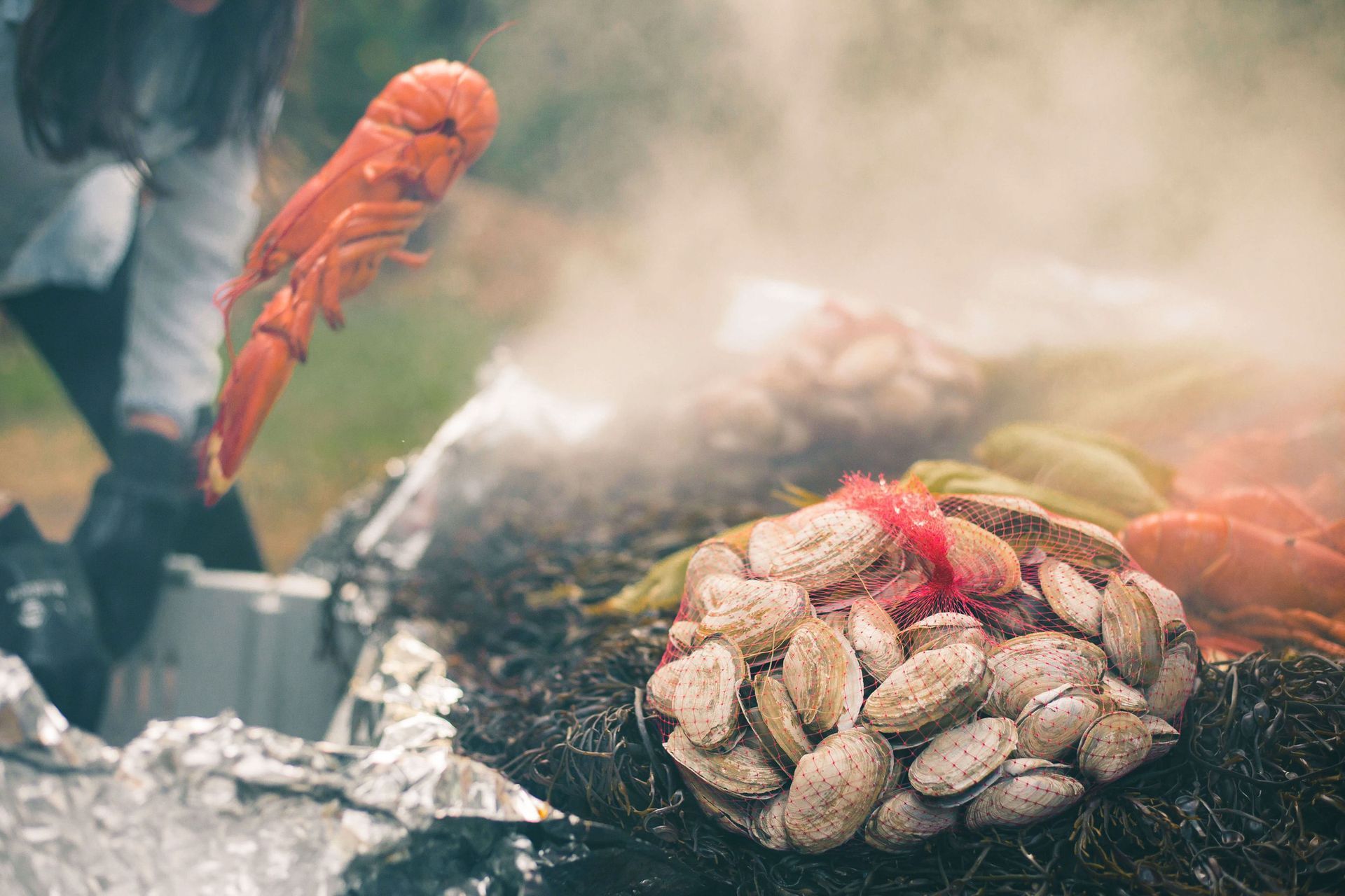 Lobster being added to a steaming seafood feast on a bed of seaweed.