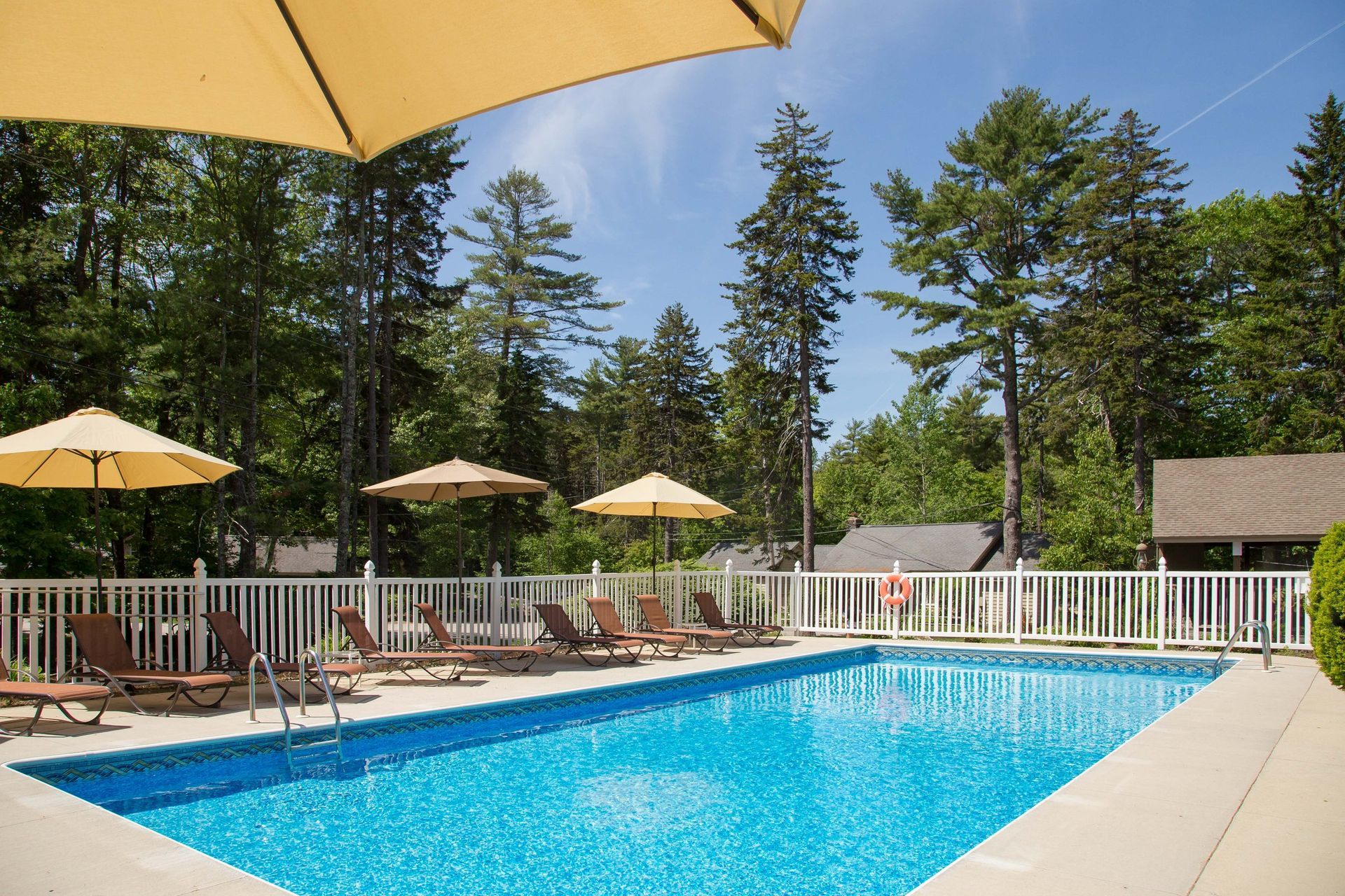 Swimming pool with lounge chairs and umbrellas, fenced in, surrounded by trees under a sunny sky.