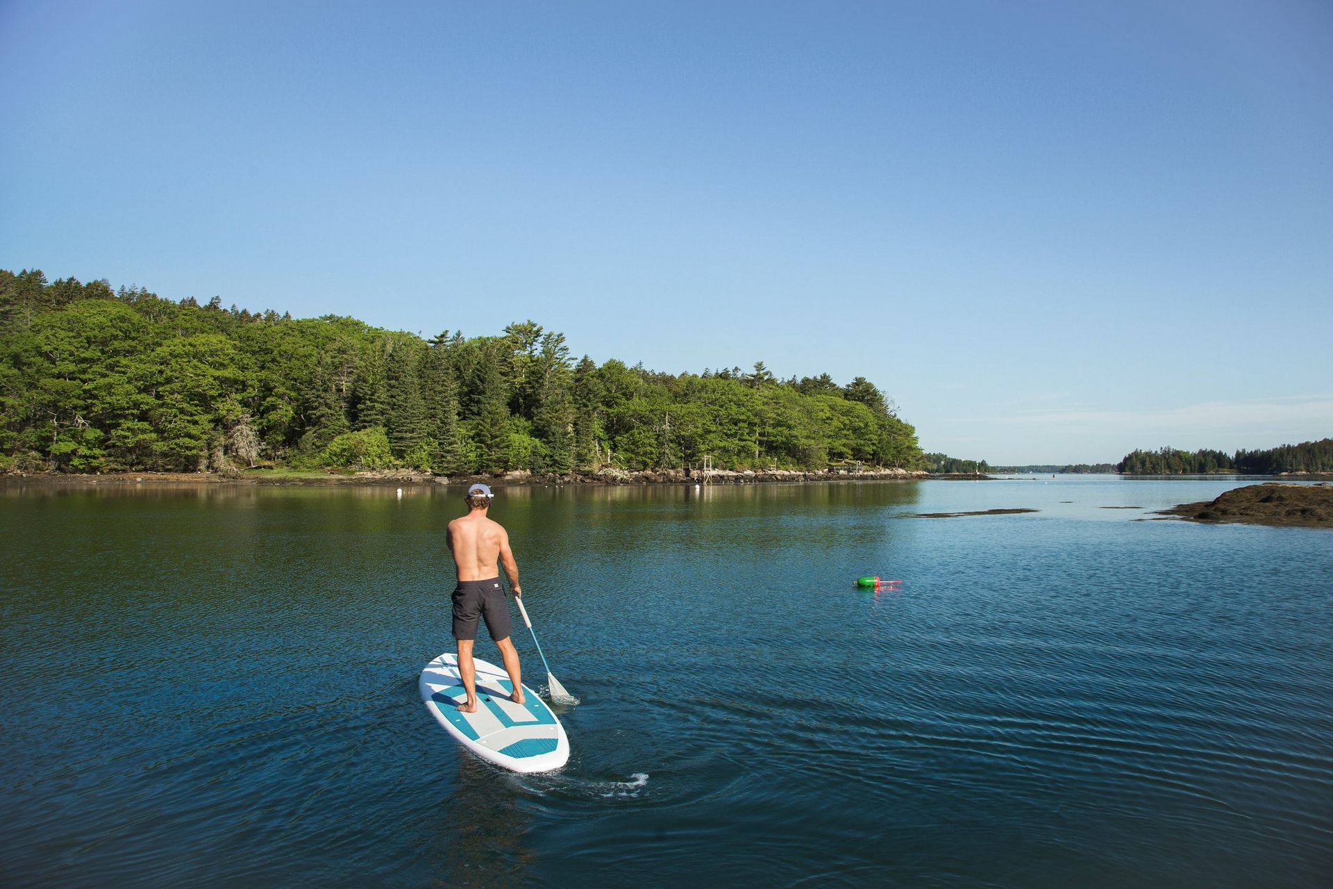 Person paddleboarding on calm water, surrounded by trees and a clear blue sky.