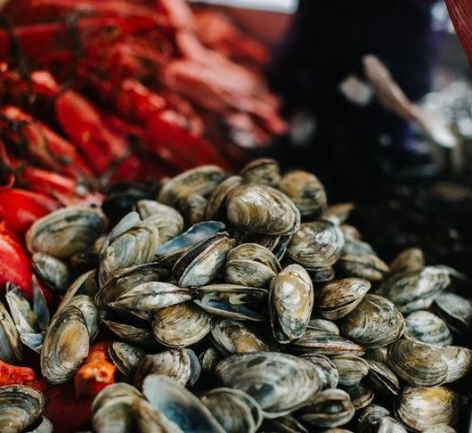 Pile of fresh clams at a market, with red seafood in the background