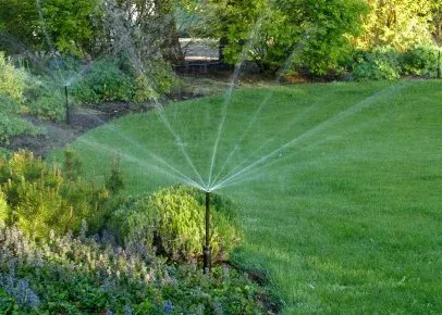 A sprinkler is spraying water on a lush green lawn.