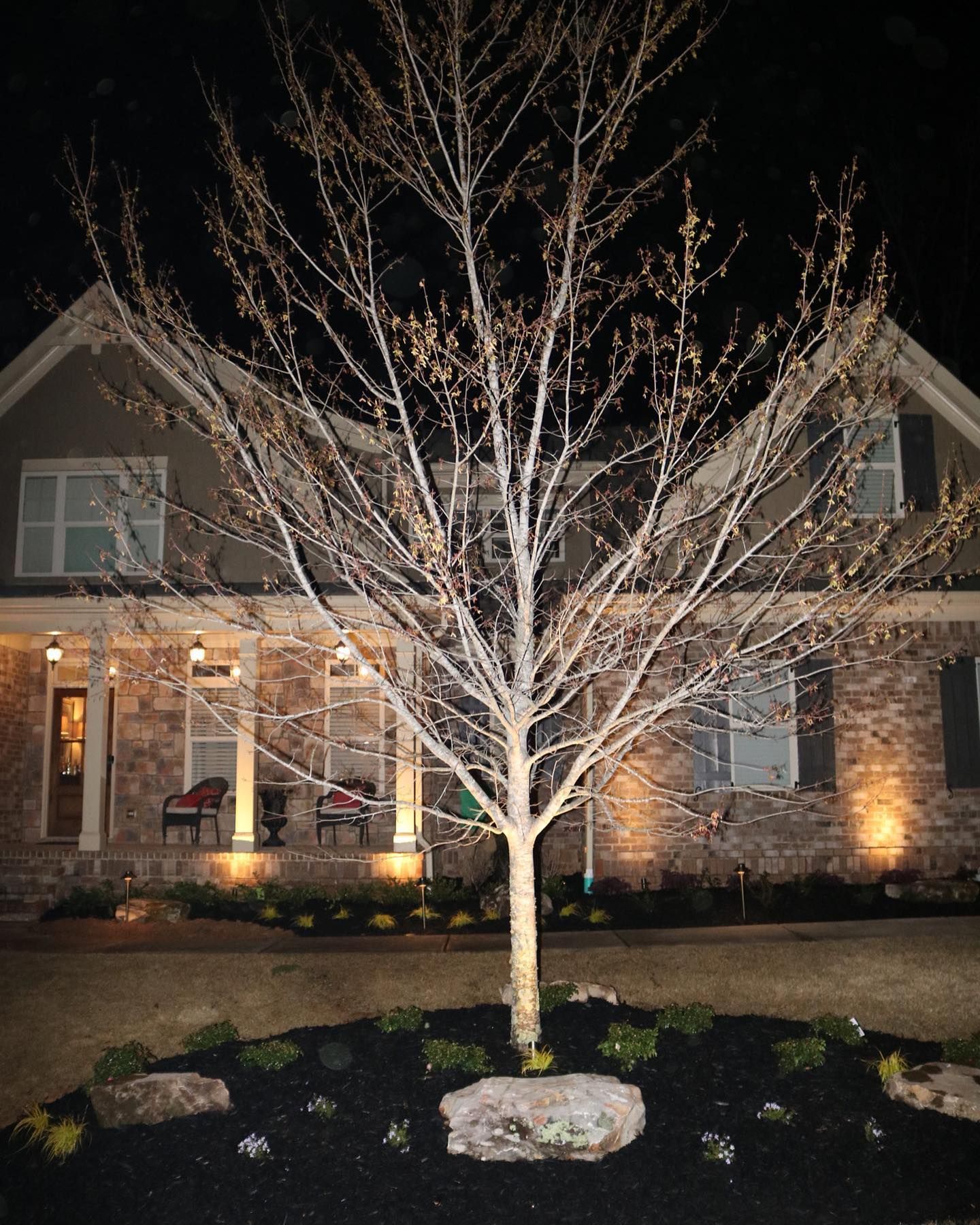 A house with a tree in front of it at night