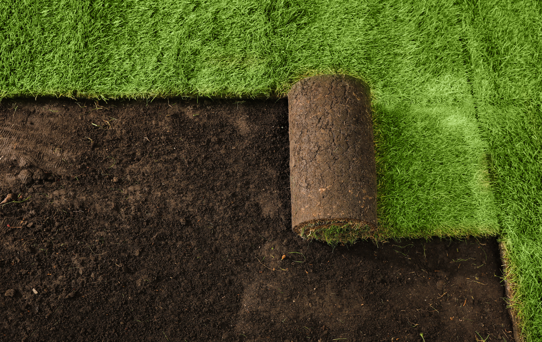 A roll of turf is sitting on top of a pile of dirt.