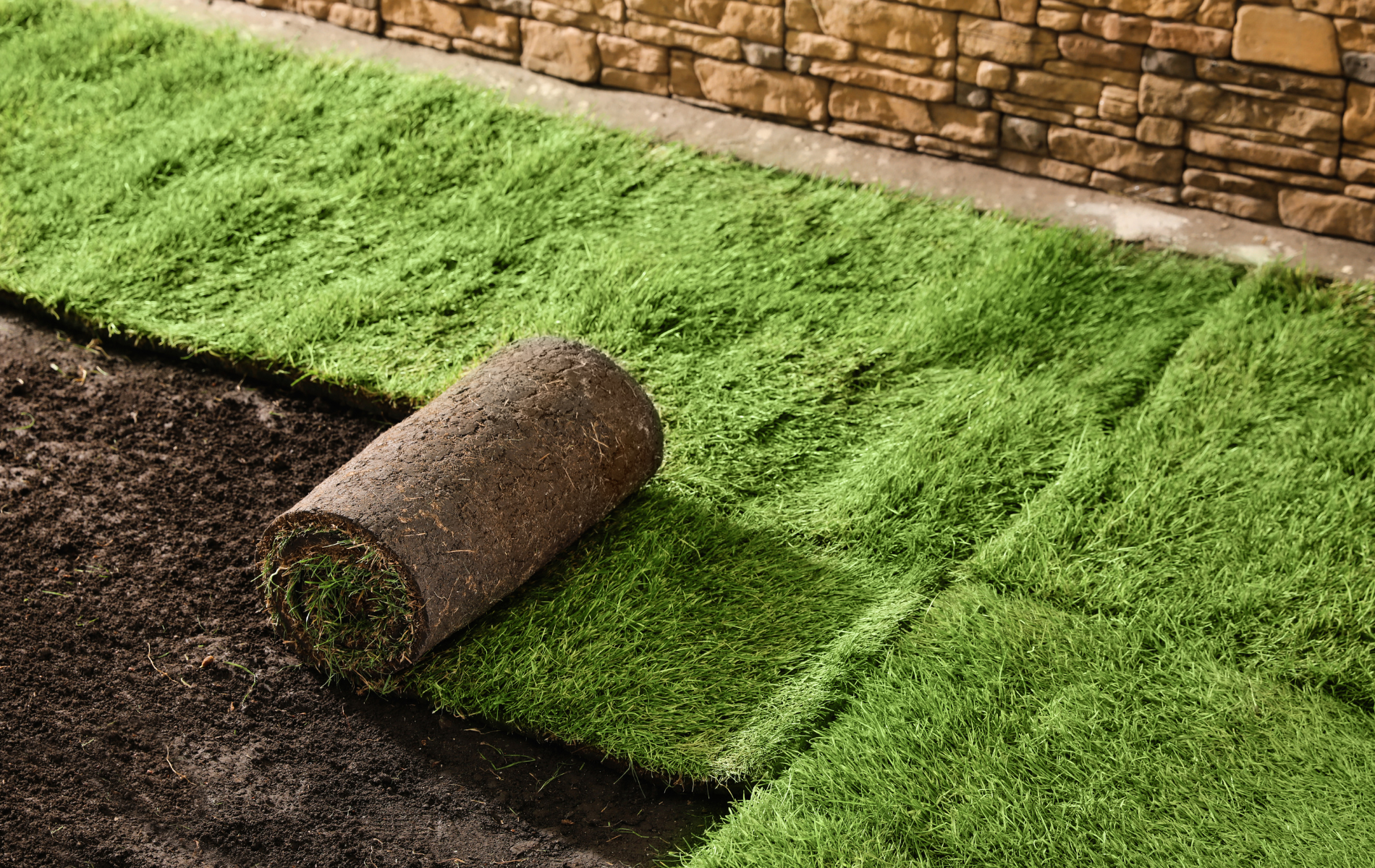 A roll of turf is sitting on top of a lush green lawn.