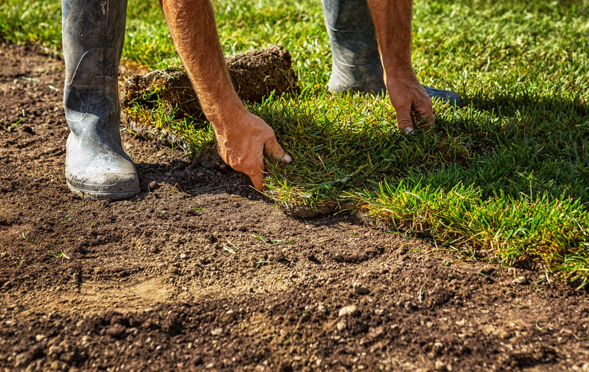 A man is laying a roll of grass on the ground.