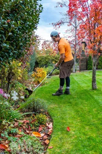 A man is using a lawn mower to cut the grass in a garden.