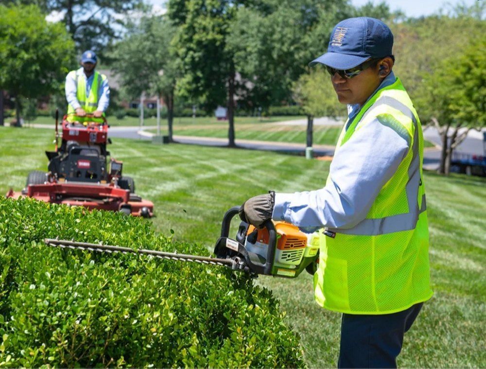 A man is cutting a bush with a chainsaw while another man is mowing the grass.