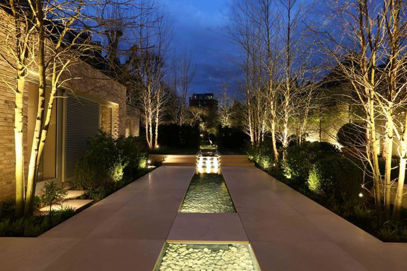 A walkway with trees and a fountain in the middle at night.