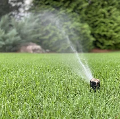 A sprinkler is spraying water on a lush green lawn.