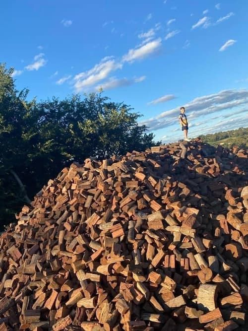 Man Standing In The Pile Of Firewood In The Dump - Firewood in Toowoomba,