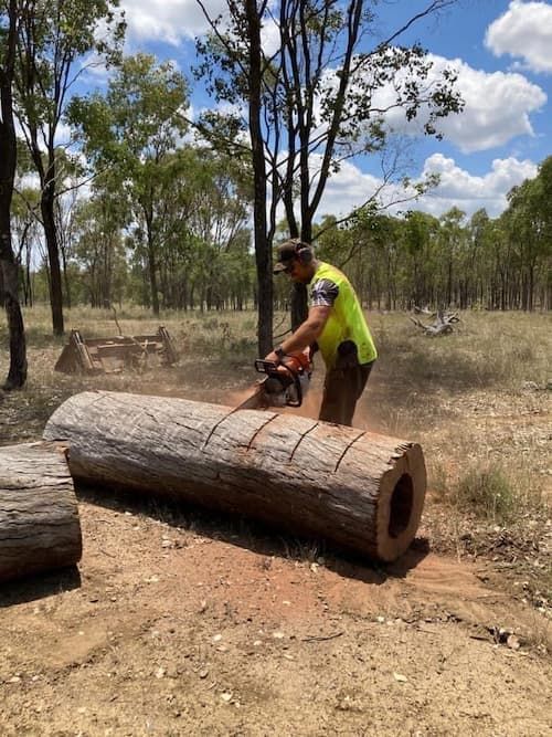Cutting Of Hardwood - Firewood in Toowoomba,