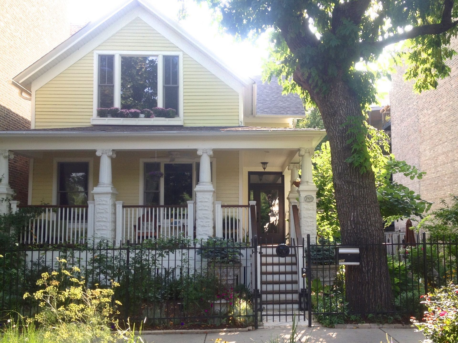 Yellow house with white porch, black fence, and large tree in front yard