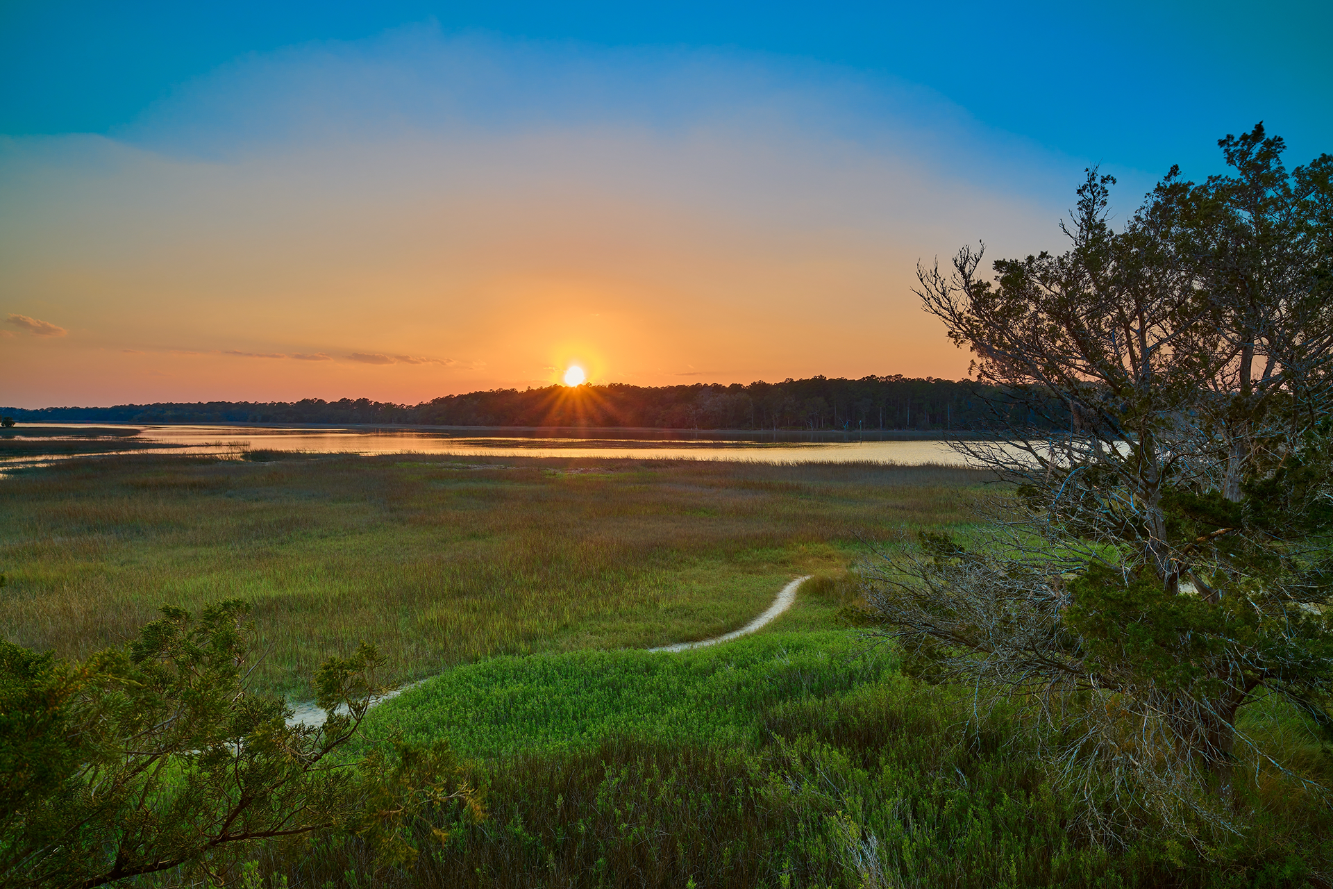 Sunset over marshland and a winding trail, with dark trees in the distance.