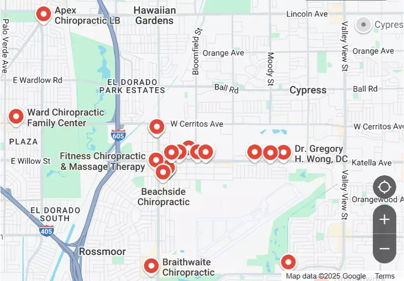 Google Business Profile Map Example