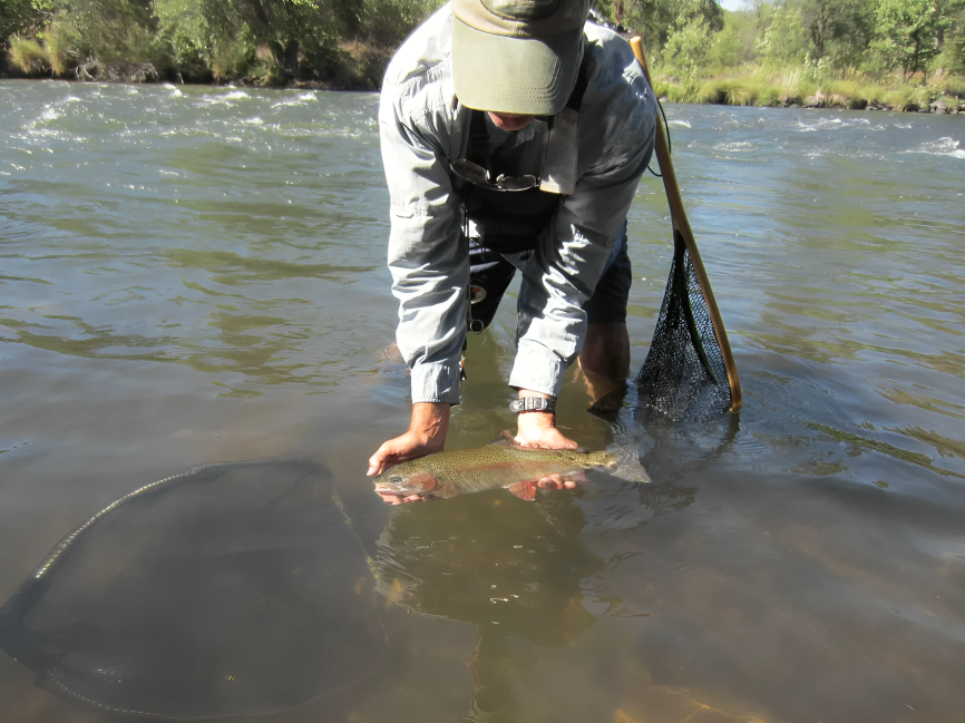 A man is holding a fish in a net in a river.