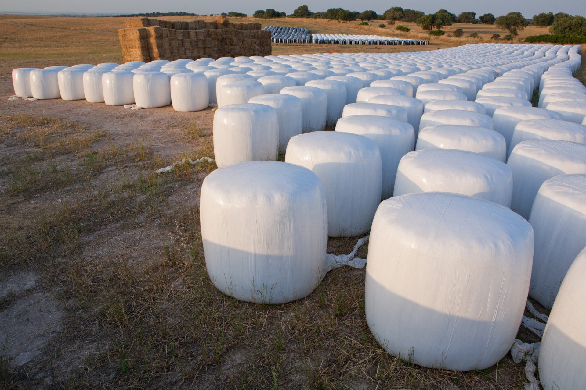 Bentonite & Zeolite Minerals Adrian, OR Teague Mineral Products