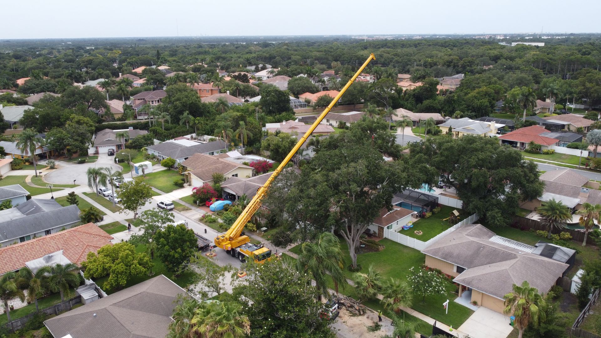 Crane Tree Service Tampa