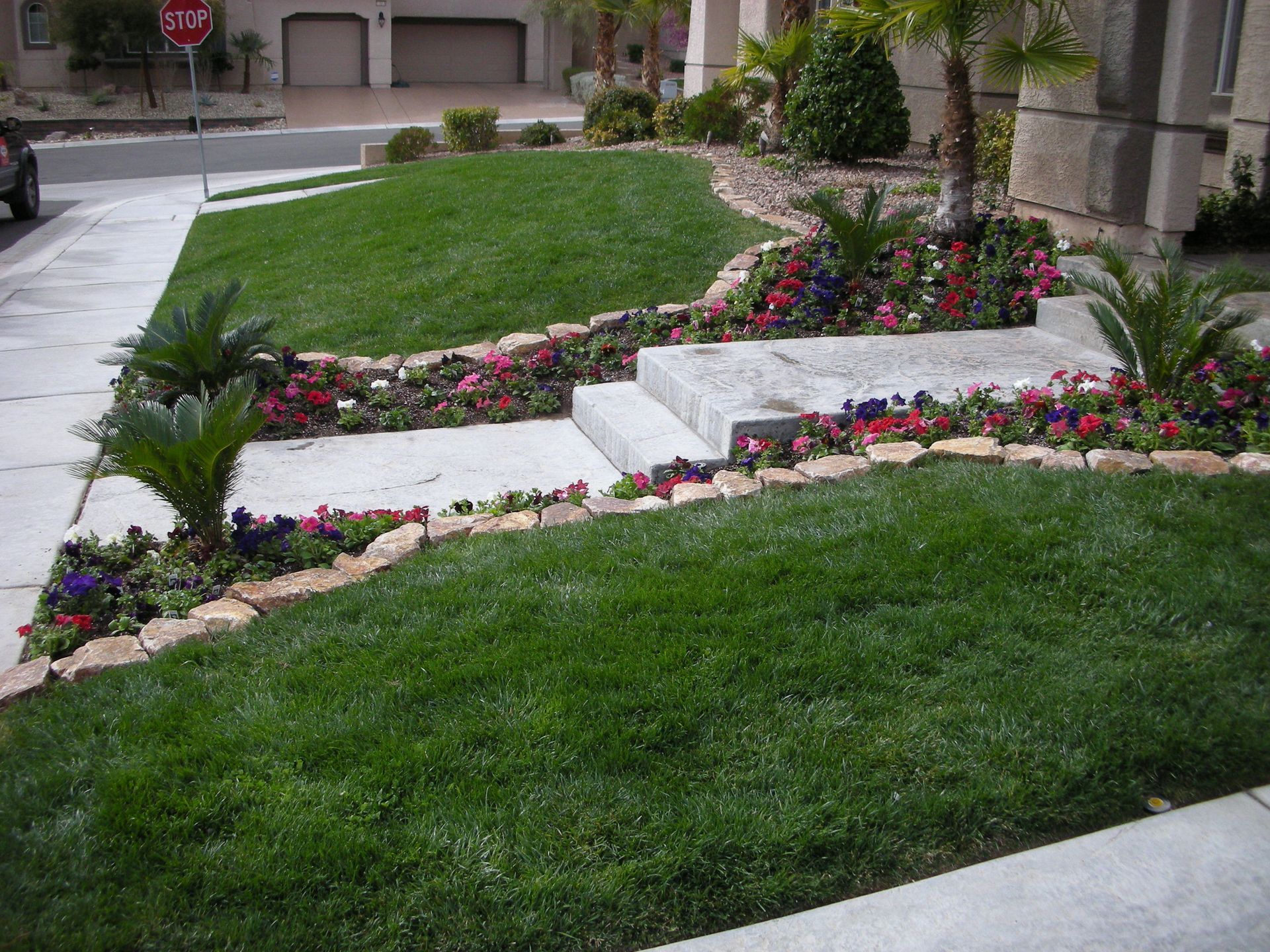 Lush Green Lawn – Las Vegas, NV – Showcase Landcare Services