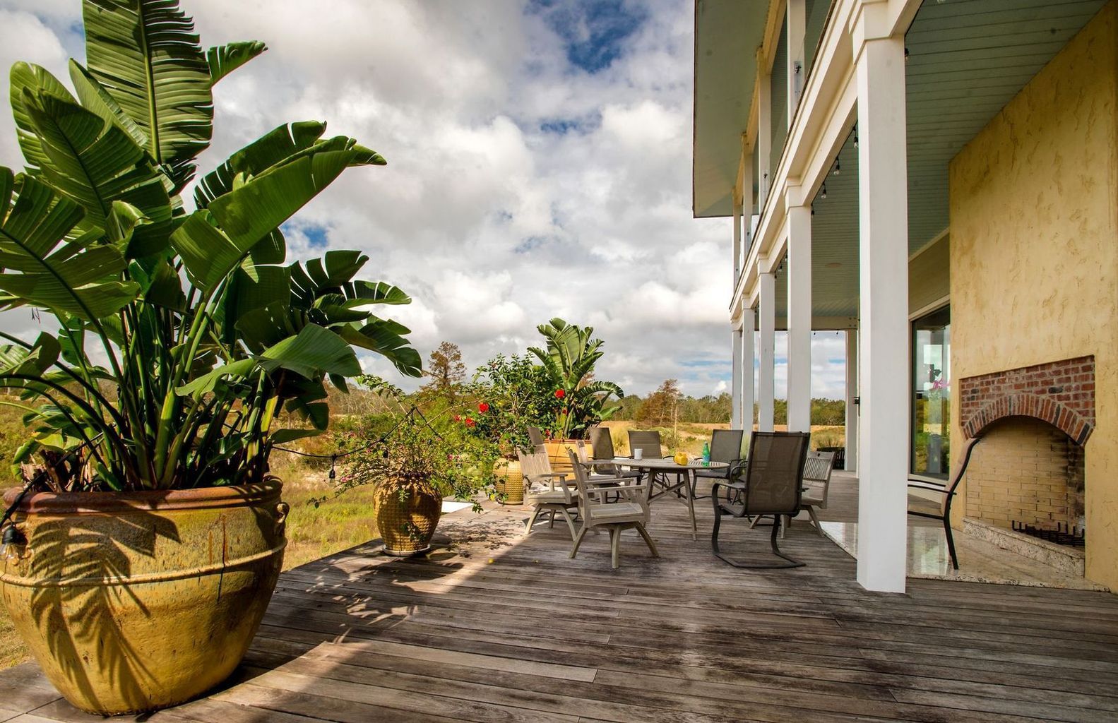 A large potted plant sits on a patio next to a table and chairs