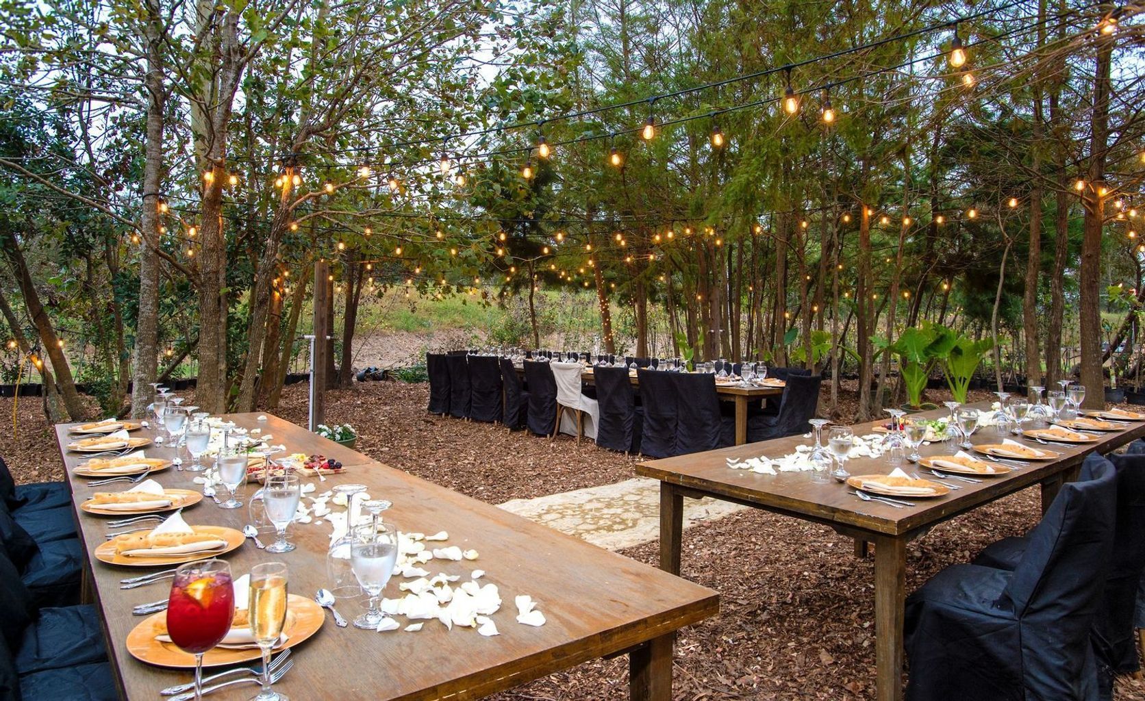 A long wooden table is set for a dinner party in the woods.