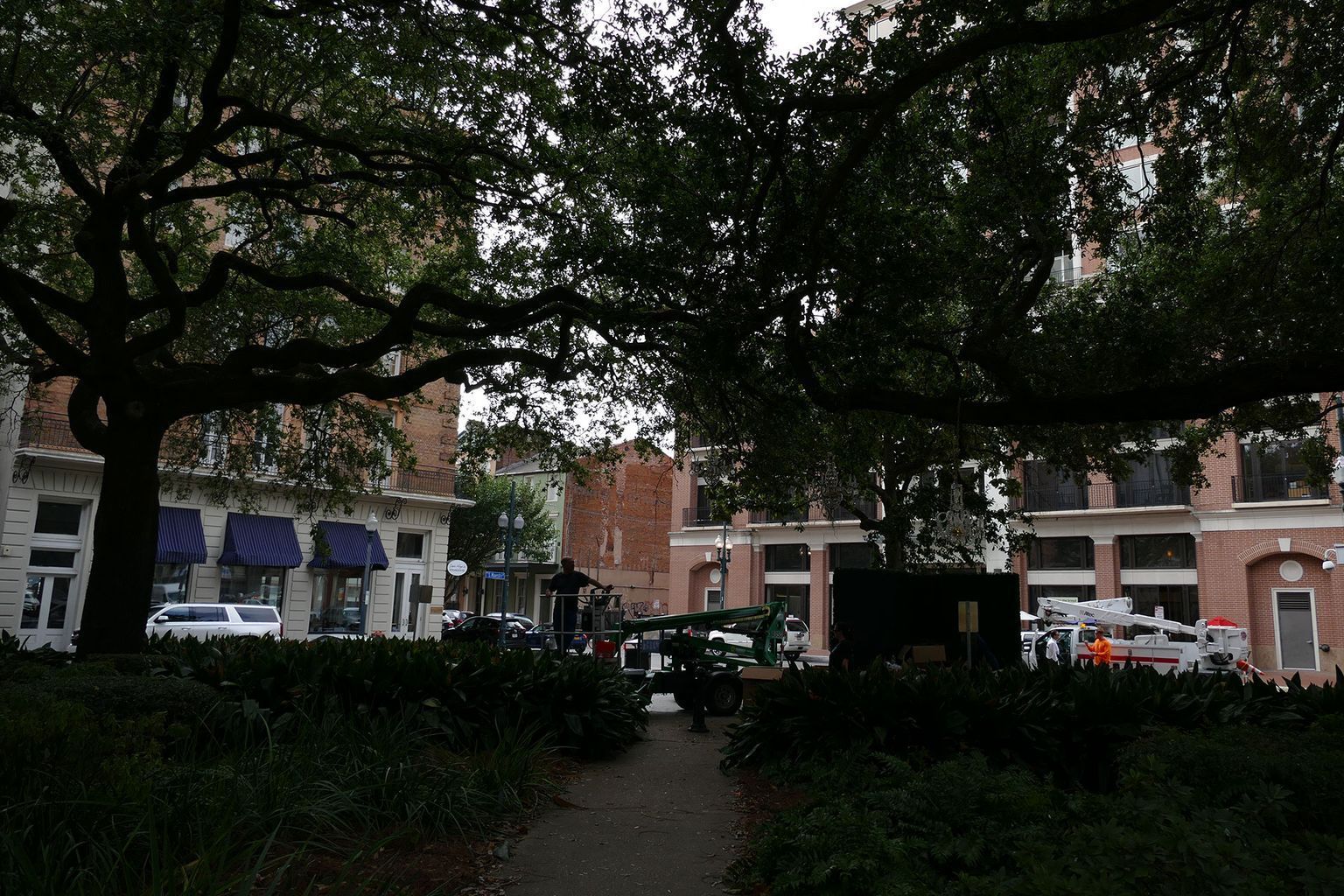 A park with trees and buildings in the background