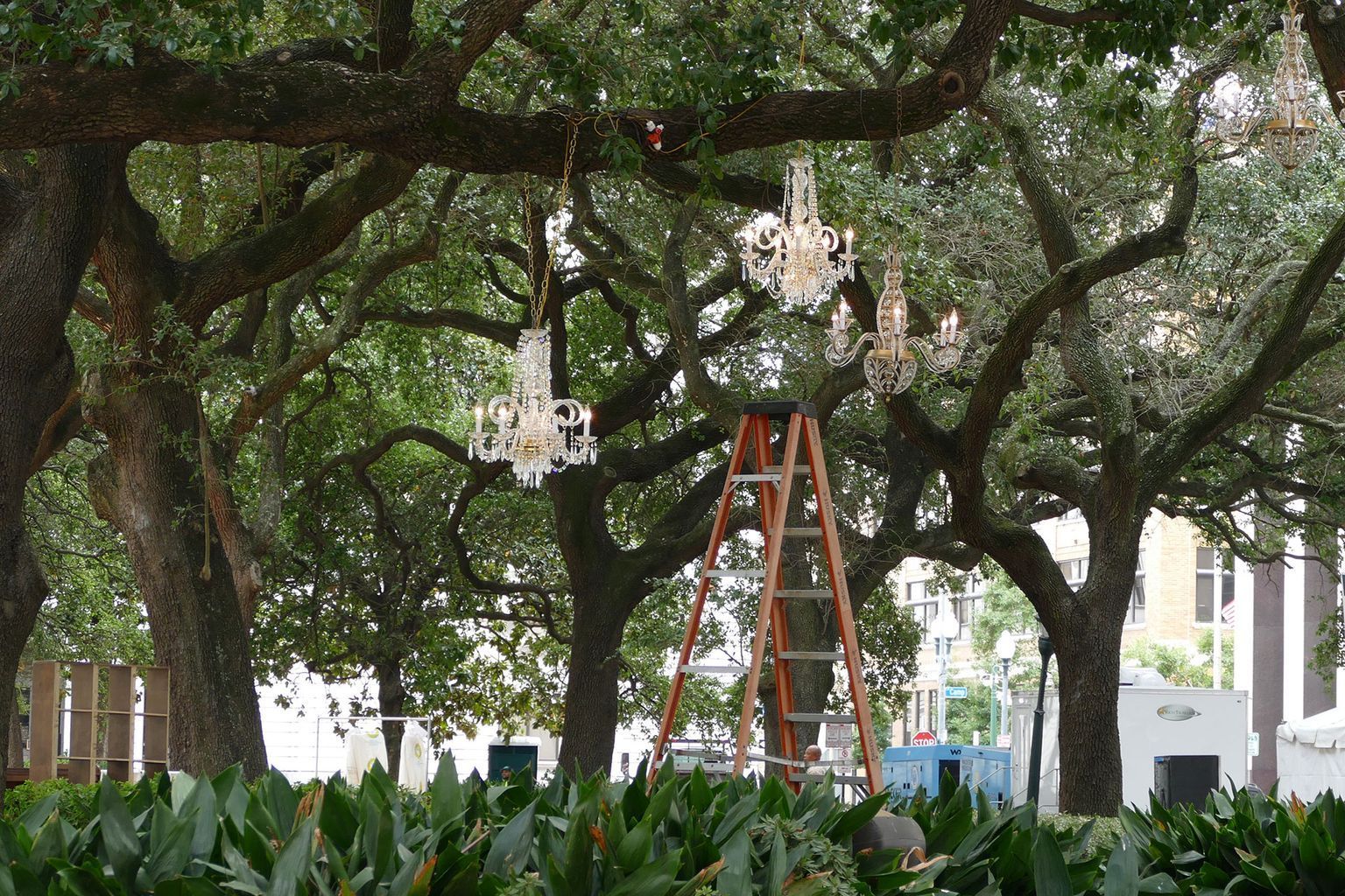 A chandelier is hanging from a tree in a park