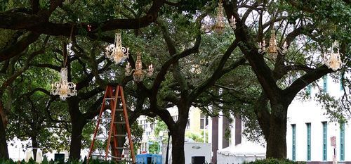 Event Planner New Orleans
