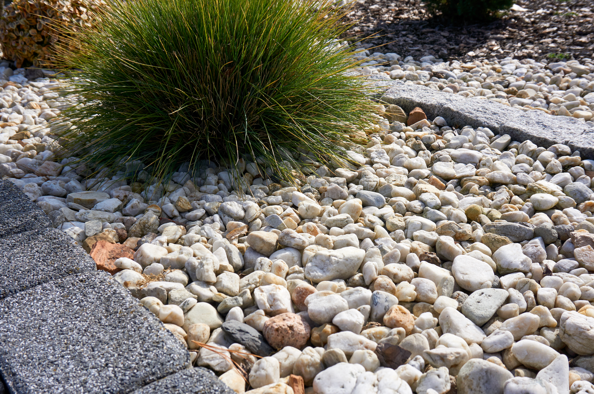A pile of rocks and grass in a garden.